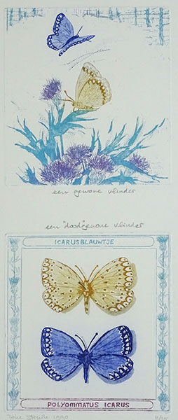 een gewone vlinder, een “dood” gewone vlinder, 14 x 33, ets/aquatint, € 70,-