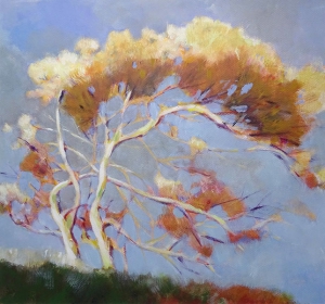 Boom, 48 x 52, acryl op papier, € 285,-