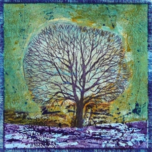winterboom · 20x20 cm · etsaquatint · € 105,-