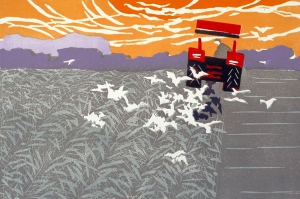 De akker, 26 x 38, linosnede, € 125,-