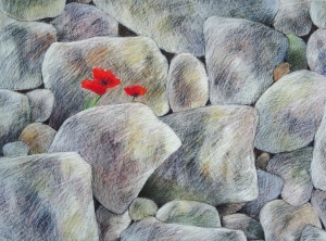 Sterker dan steen  III, (keien en klaproos), 43 x 57, pastel, € 325,-