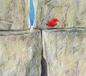 Sterker dan steen  IV, (zandsteen, klaproos), 42 x 48, pastel, € 325,-