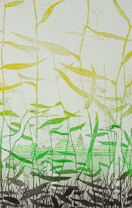 reigers rond Naarden, 30 x 40, ets/aquatint, € 75,-