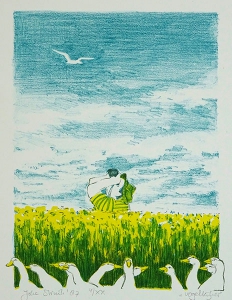 vogelkijker, 16 x 20, steendruk, € 70,-