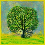 Boom lente, 20 x 20, ets/aquatint, € 85,-