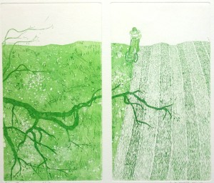 het eerste gras · 25x29 cm · etsaquatint · € 75,-