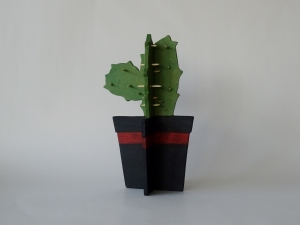cactus-·-hoog-24-·-E-55-